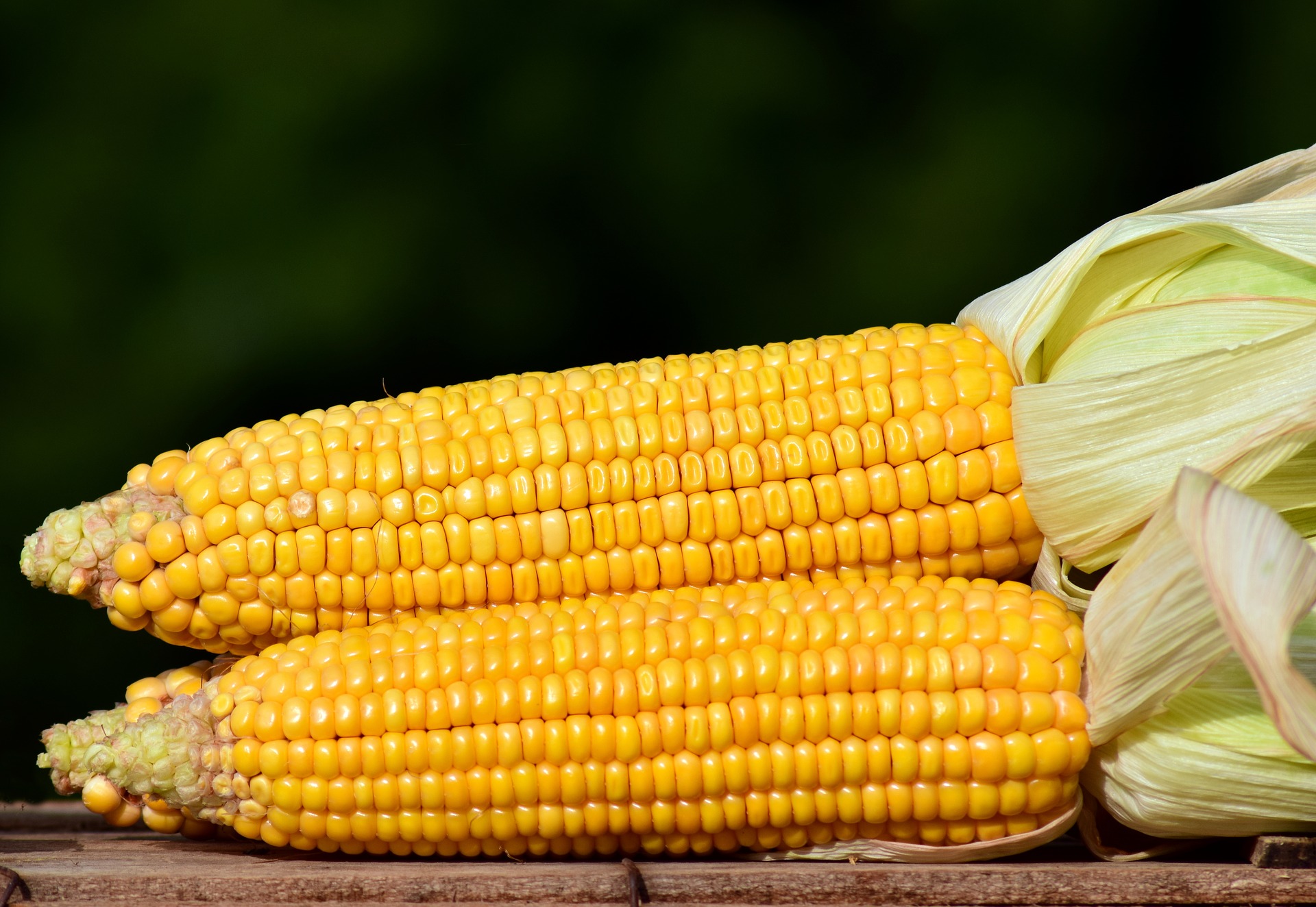 From Farm to Table