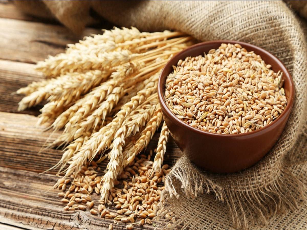 Wheat for Crown Millers milling